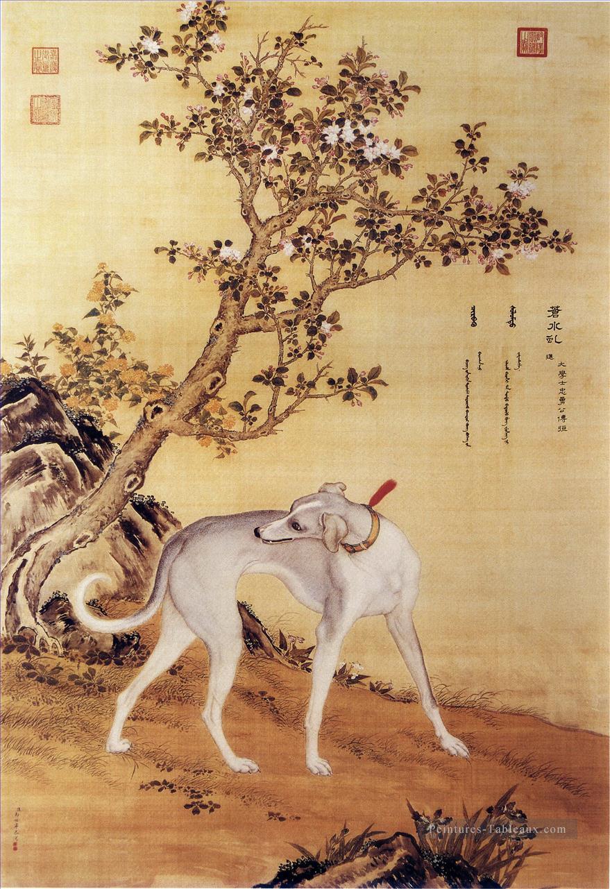 Cangshuiqiu un lévrier chinois de dix prized chiens album lang brillant Giuseppe Castiglione ancienne Chine à l’encre Peintures à l'huile